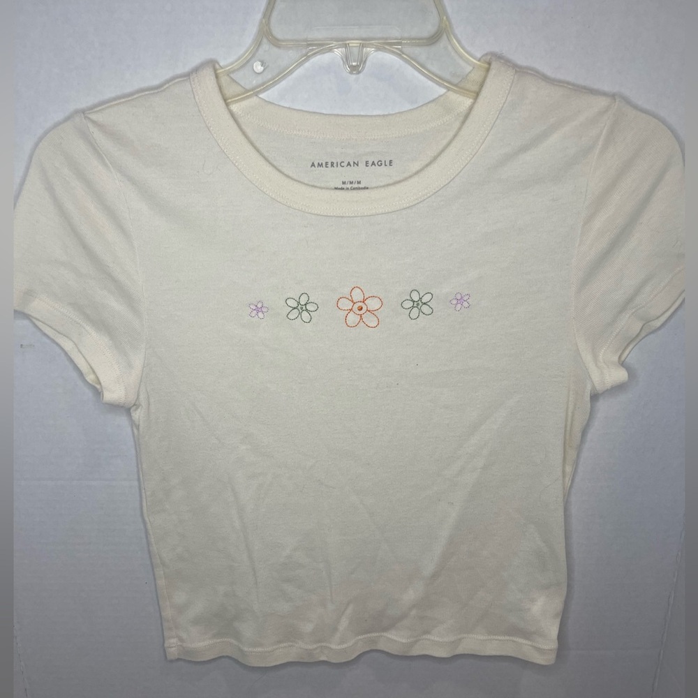 American Eagle Outfitters Cream Crop Top with Floral Embroidery